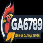 Ga 6789 Profile Picture