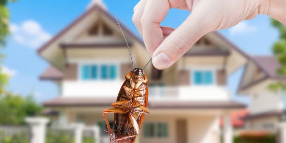 Signs You Need Cockroach Pest Control and Mosquito Control Services Immediately