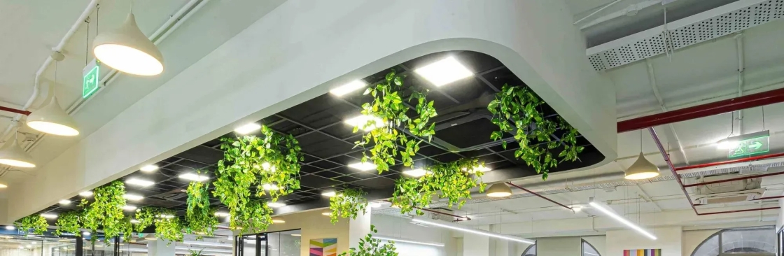 Phi Designs Cover Image