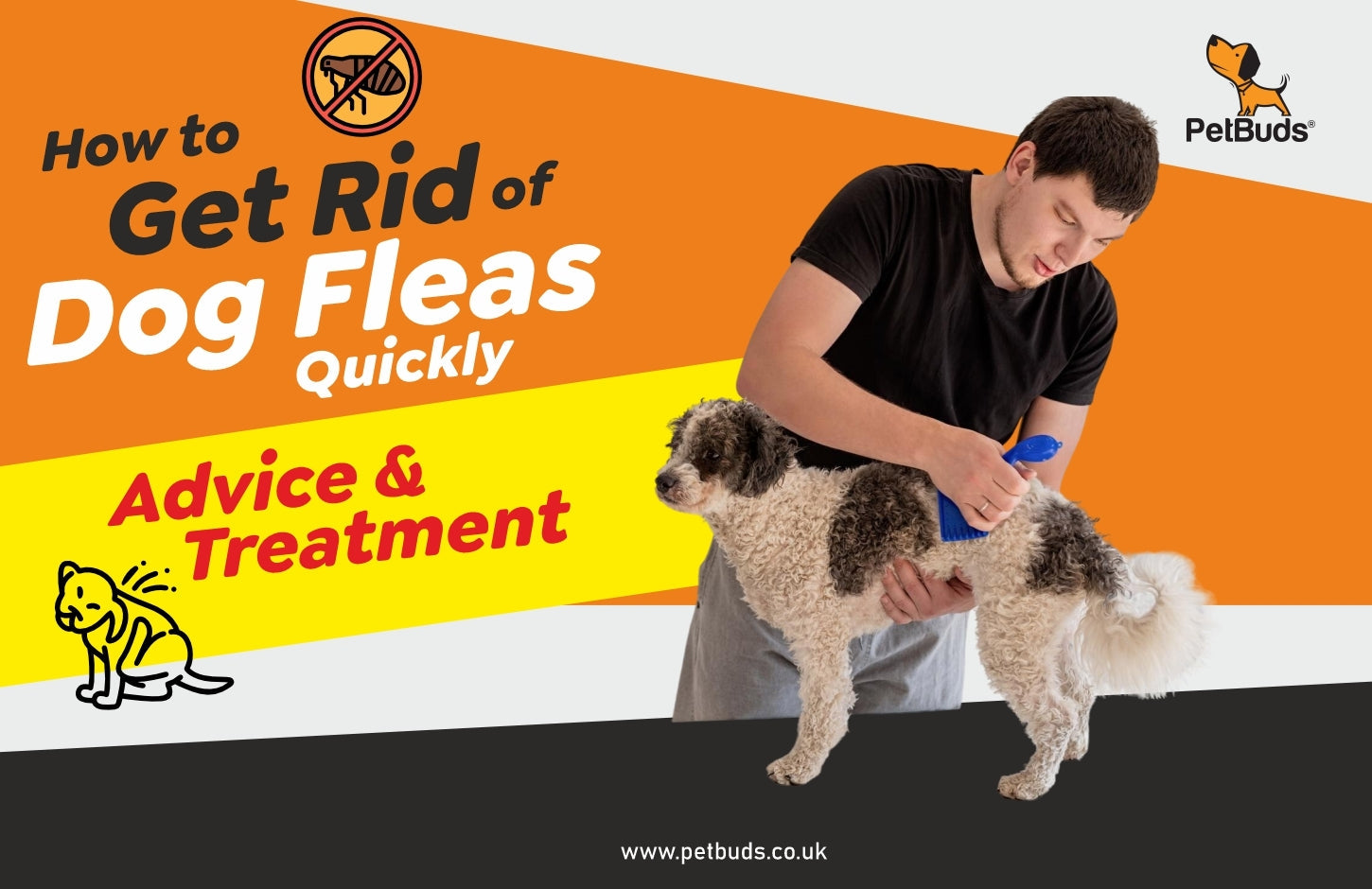 How to Get Rid of Dog Fleas Quickly: Advice & Treatment  – PetBuds
