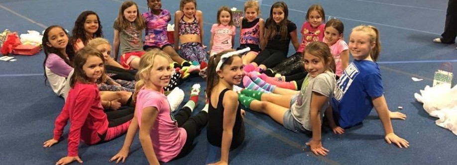 Flip zone Cover Image