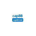 CAP88 BID Profile Picture