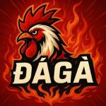 Xem Đá Gà Trực Tiếp Profile Picture