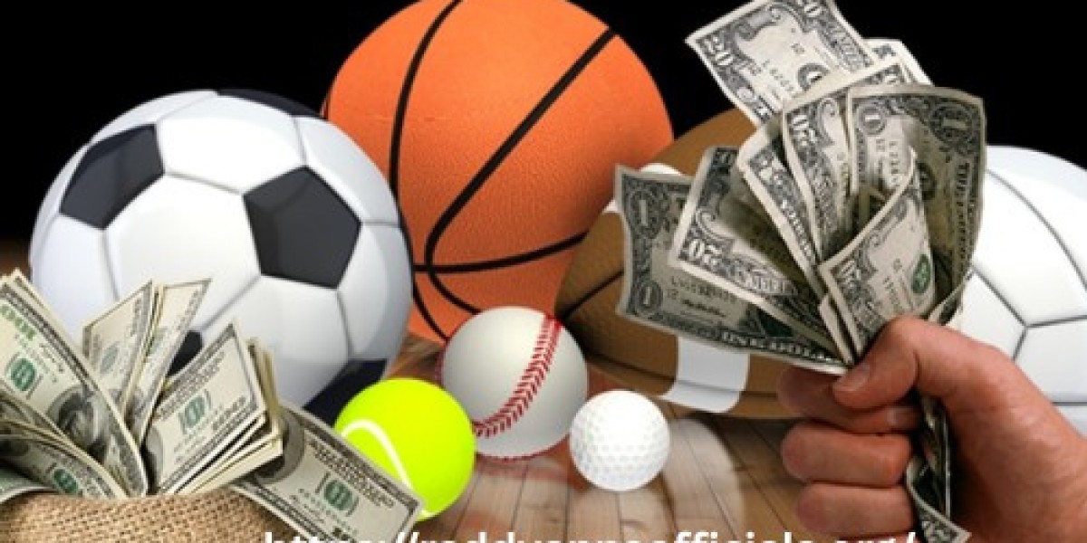 Inside ReddyAnna: A Transparent Look at What Makes Us Stand Out