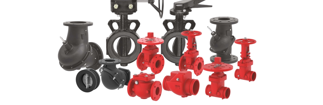 Lubi Valves Cover Image