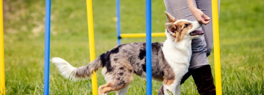 Proven Dog Training Cover Image