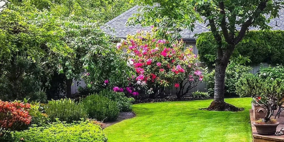 Rain Gardens: A Natural Fix for Yard Drainage in Eugene, Oregon