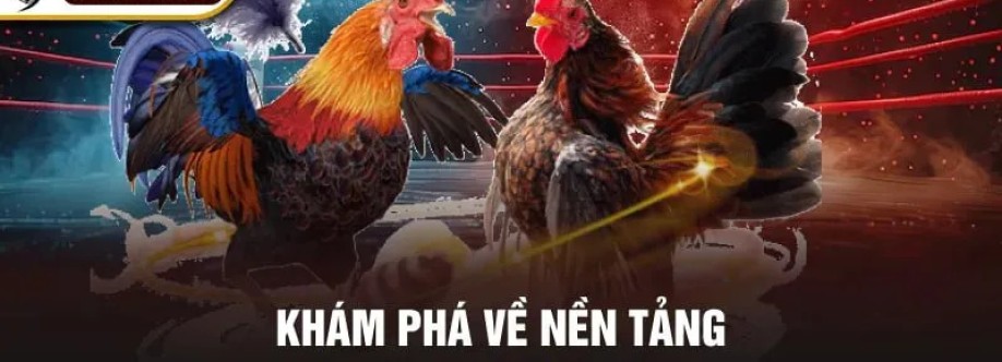đá gà thomo Cover Image