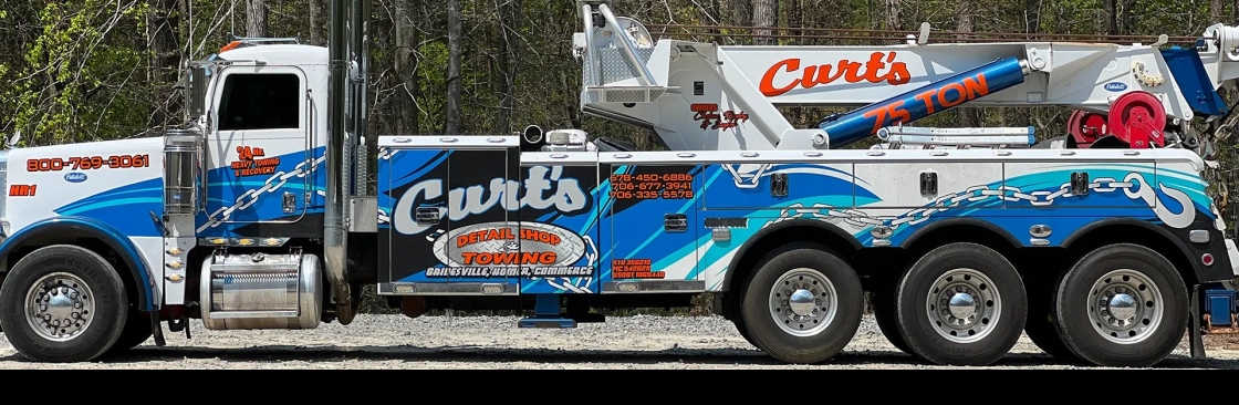 Curts Heavy Towing Cover Image