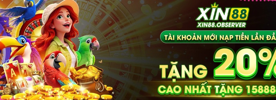 xin88 observer Cover Image