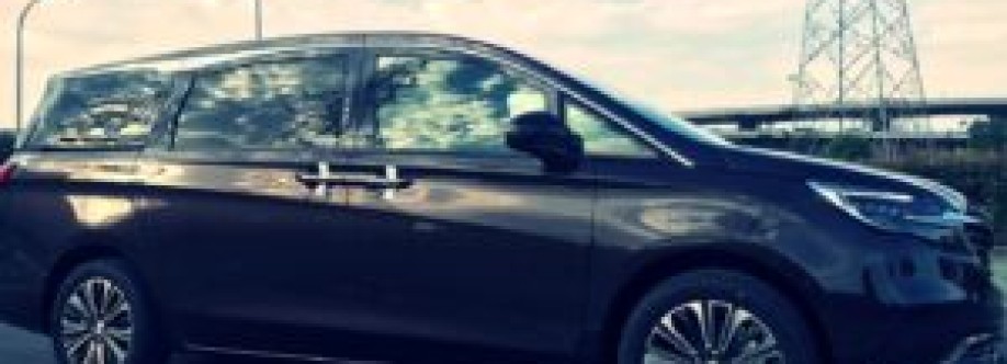 Shanghai driver Cover Image