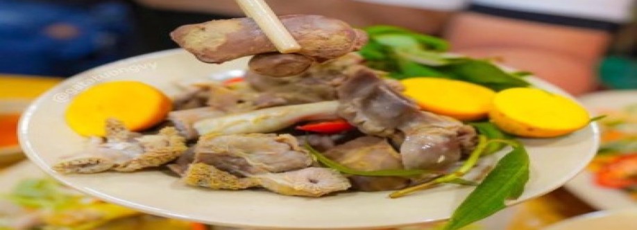 gatatuongvyvn Cover Image