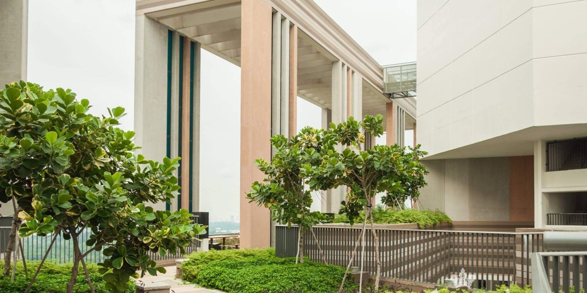 From Bare Roof to Blooming Oasis: A Step-by-Step Guide to Building a Roof Garden at Home