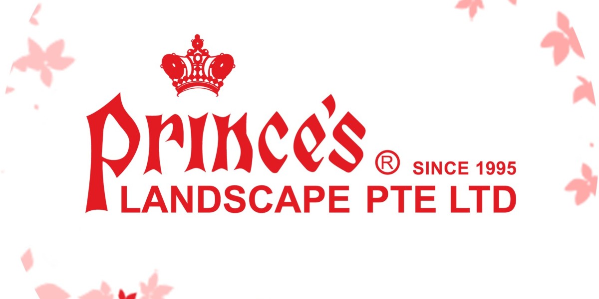 Large Office Plants That Improve Indoor Air Quality: Nature’s Silent Purifiers