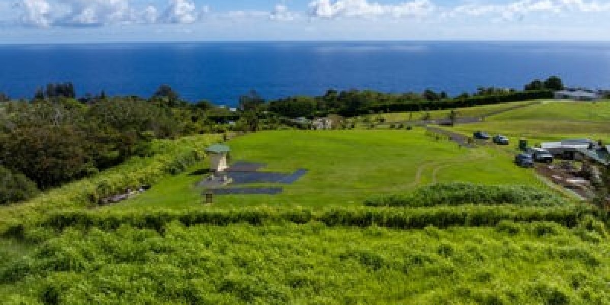 Exploring Agricultural Living Through Big Island Real Estate Options