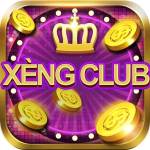 Xengclub Xengclub Profile Picture