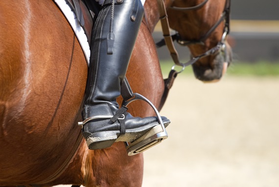 The Complete Horse Riding Gear Checklist For Beginners - Every Single Topic
