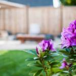 Andrew Wilson Profile Picture