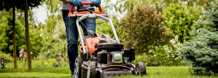 Minneapolis Commercial Lawn and Snow Cover Image