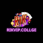 rikvipcollege Profile Picture