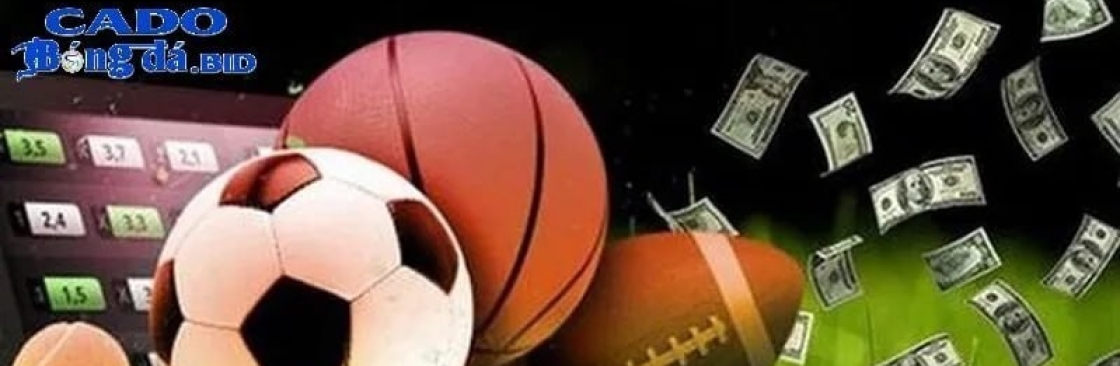 Trang Cá Độ Bóng Đá Cover Image