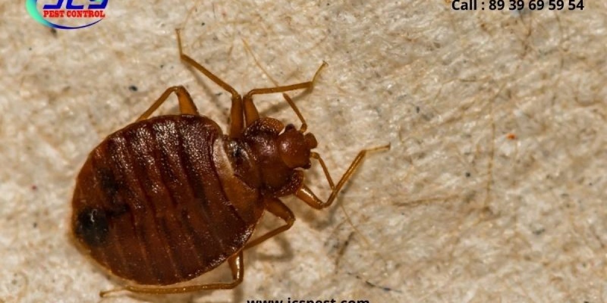 How Does Professional Pest Control Really Work?