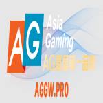 Ag官网 Profile Picture