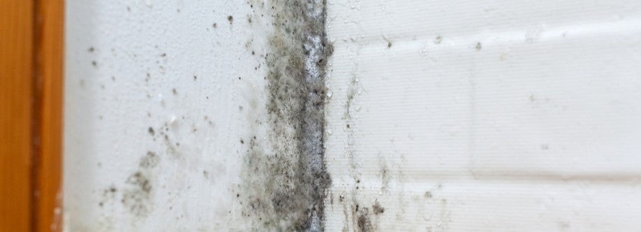 Mr Fixer Home Services Cover Image