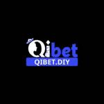 Qibet Diy Profile Picture