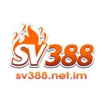 sv388 netim Profile Picture