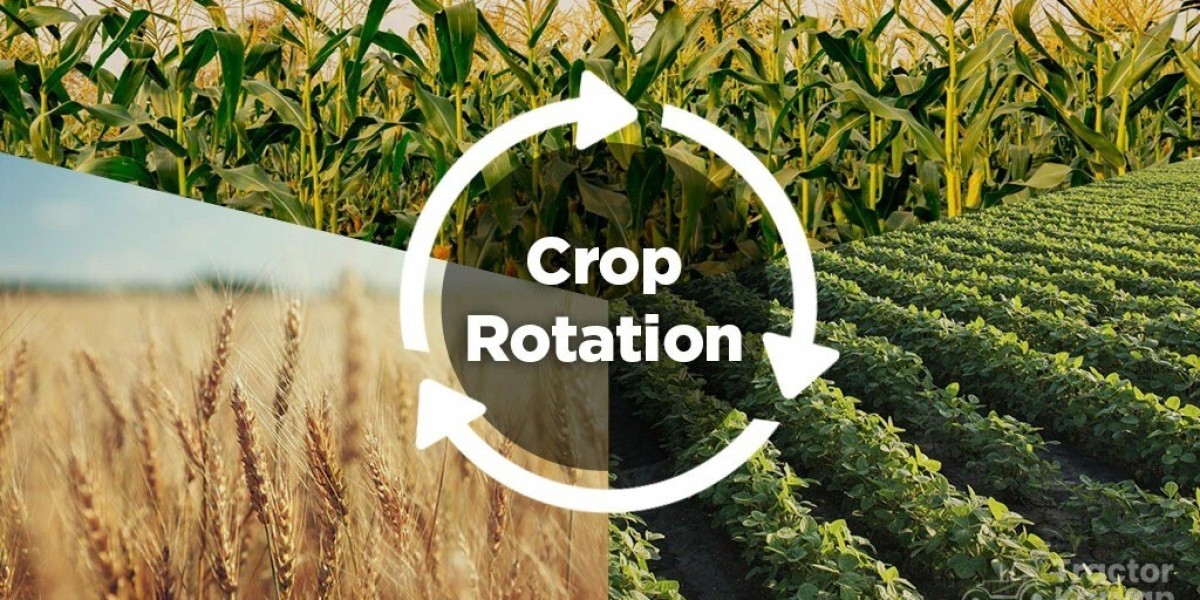 Check out the What is Crop Rotation and how to do it