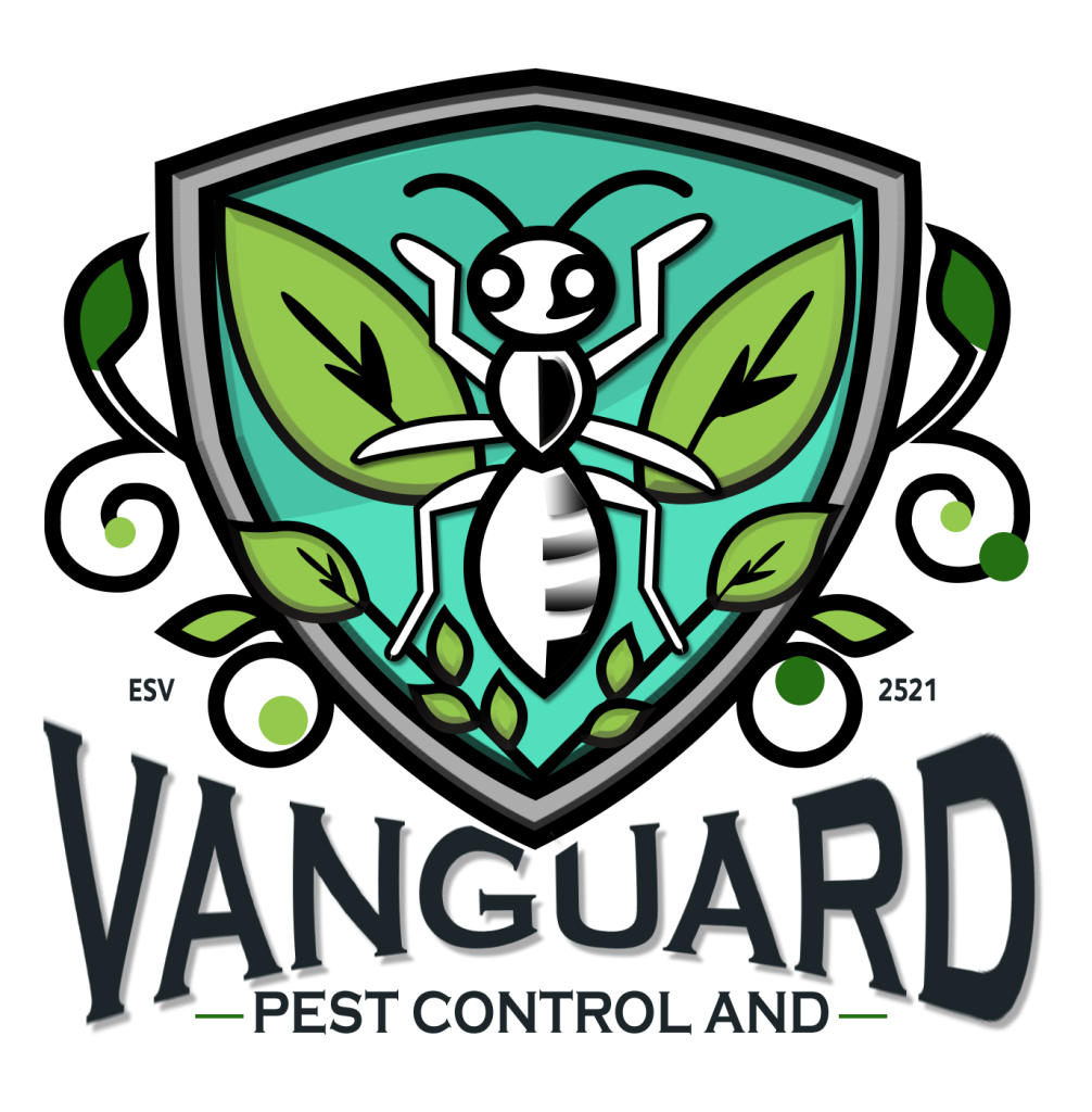 Vanguard