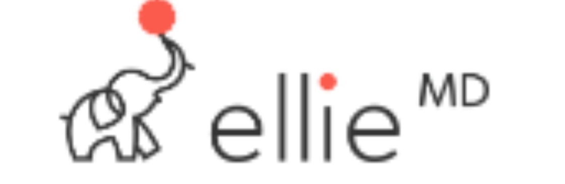 Holistic Team Cover Image