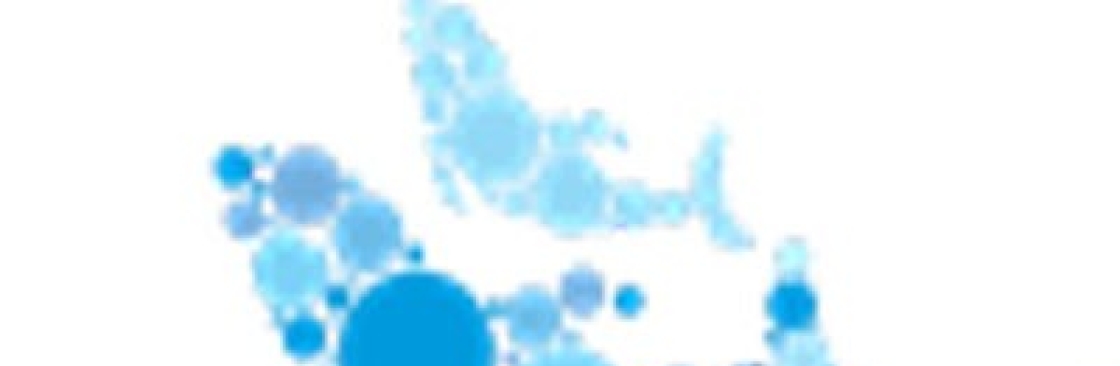 Cruise Professional Cover Image