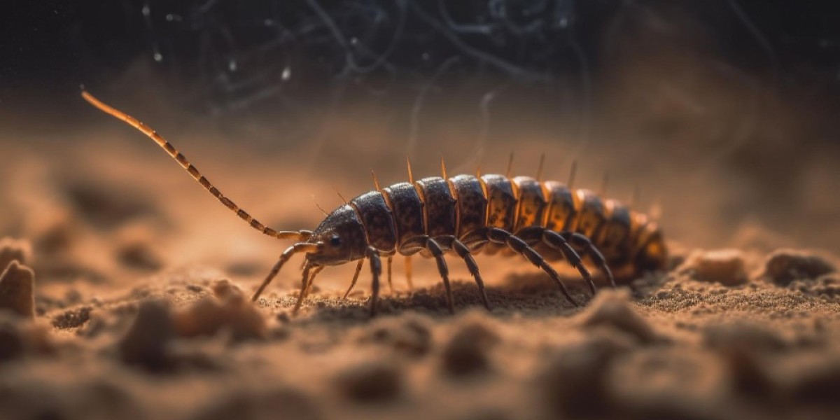 Revolutionary Approaches to Lice Management: Advanced Therapeutic Solutions and Market Transformation in Global Healthca