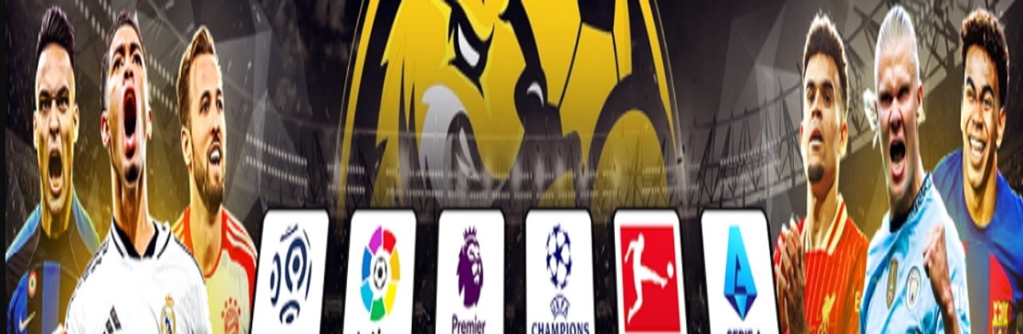 Socolive Cover Image