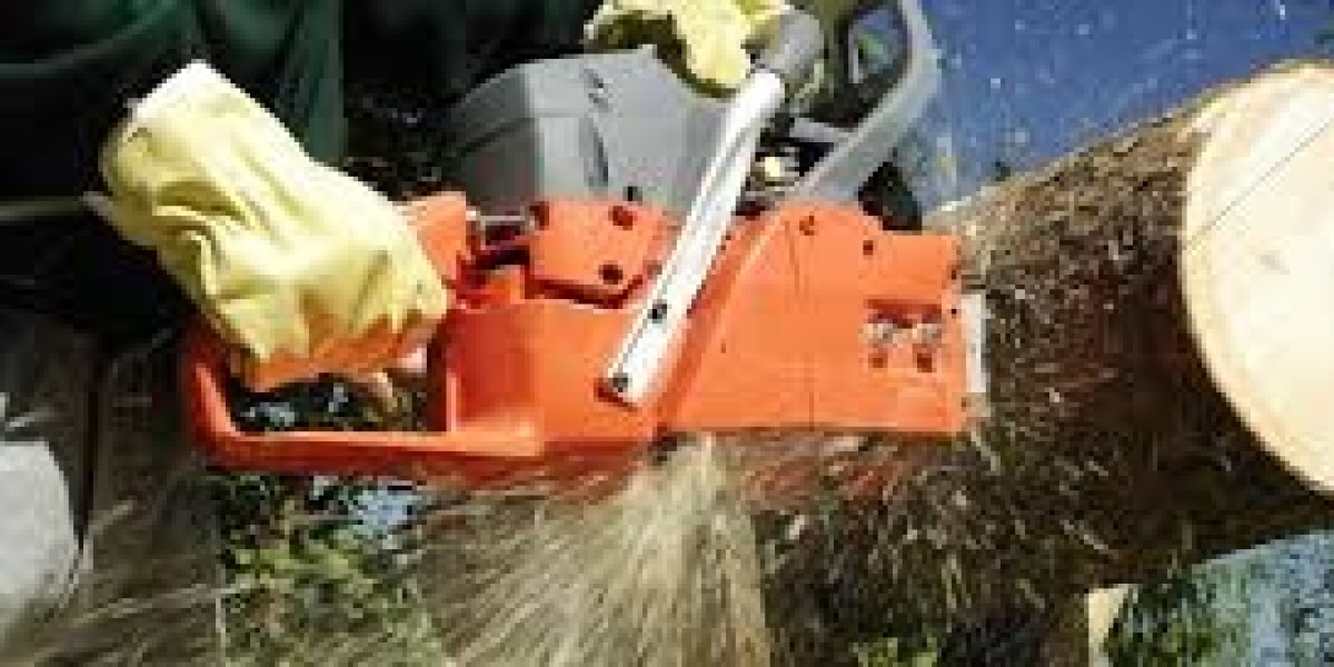 Philadelphia Tree Removal: Expert Tips to Safely Clear Your Property