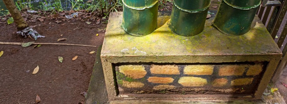 Troy Pro Painters Cover Image