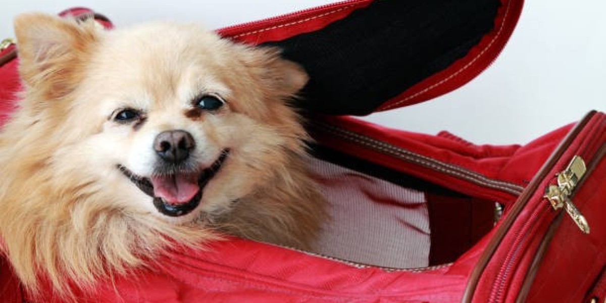 The Ultimate Guide to Choosing the Right Dog Travel Suitcase