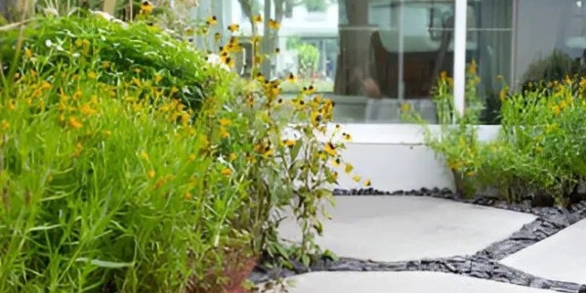 The Ultimate Guide to Lawn Care in Ontario, CA