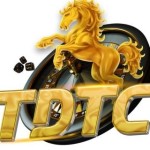 Cổng game TDTC Profile Picture