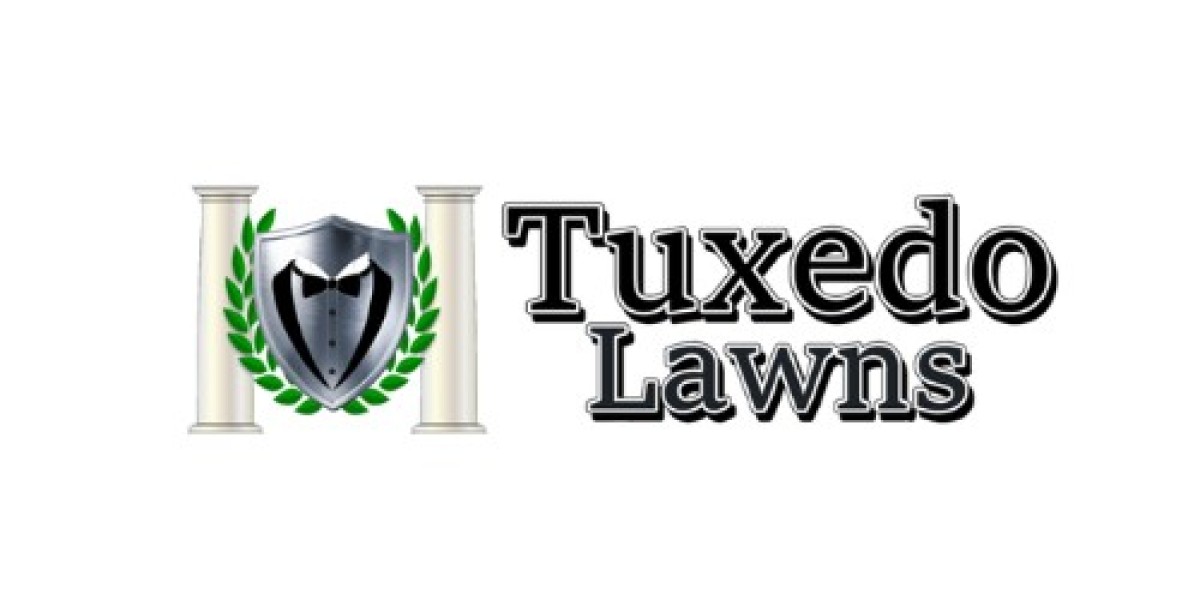 Lawn Maintenance Services That Keep Your Yard Looking Its Best