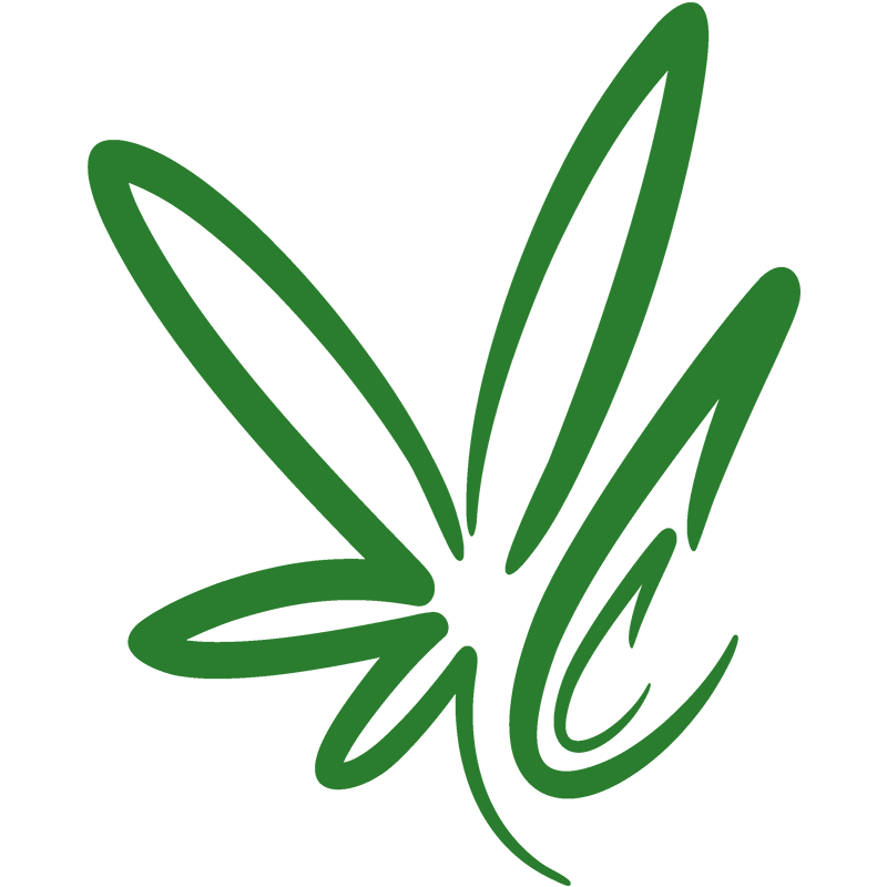 Outdoor Cannabis Stecklinge kaufen