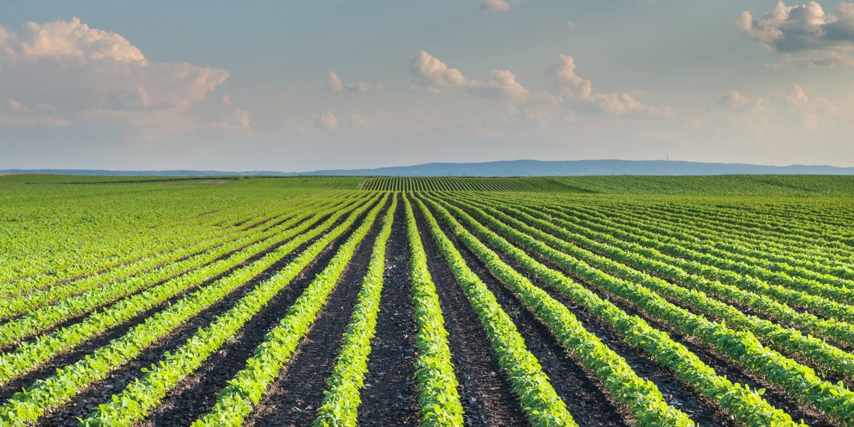 Discover the Benefits of Manure Composting for Iowa Farmers Today
