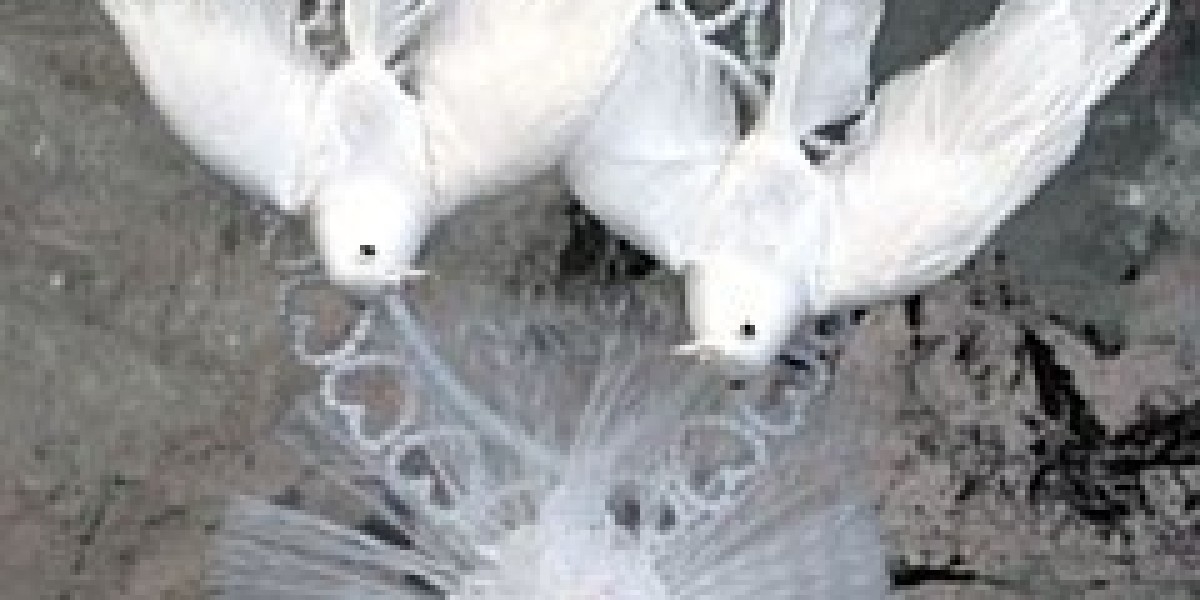 Baking Ingredients Wholesale: Elevate Your Baking Business with Quality Supplies