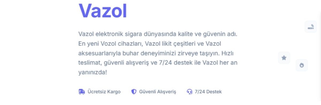 Vozol 25000 Cover Image