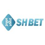Shbet Profile Picture