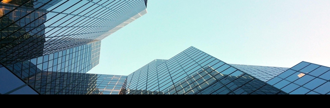 Adam Ship Professional Corporation Cover Image