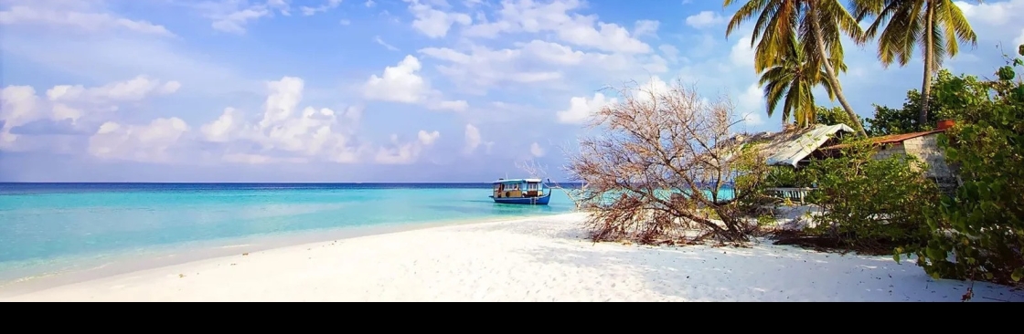 Go Andaman Holidays Cover Image