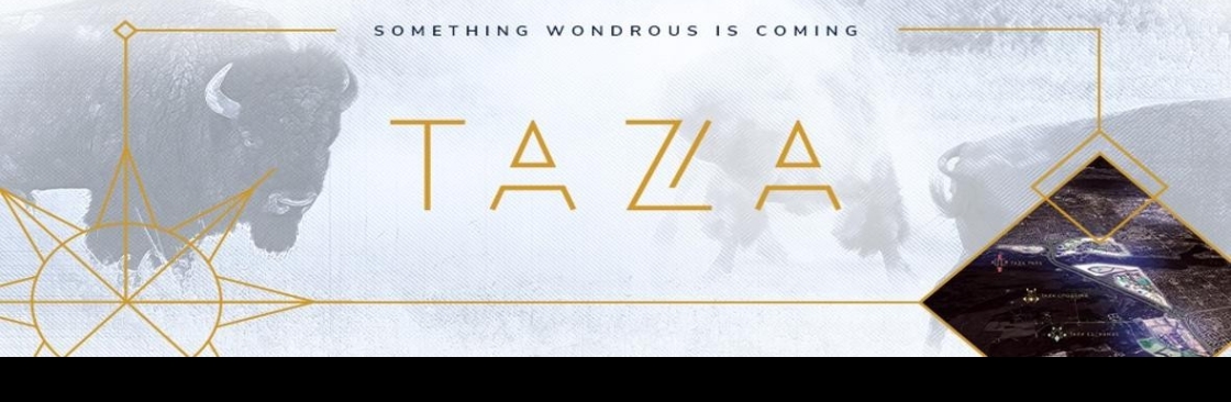 Taza Development Cover Image